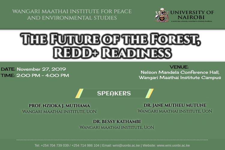 The Future of The Forest, REDD+ Readiness