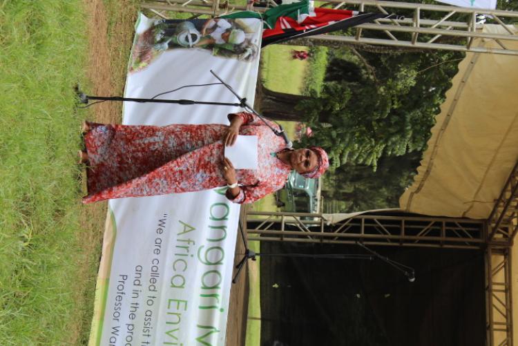 Wangari Maathai Day-African Environment Day 2020