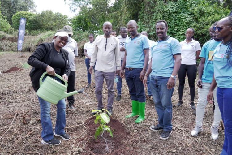 Restoring Legacy, One Tree at a Time