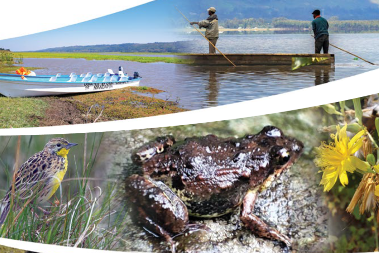 Lake Ol Bolossat: A Wetland Worth Saving