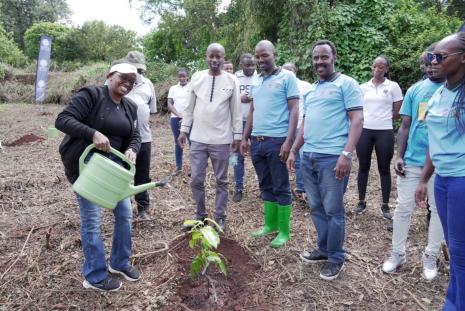  Restoring Legacy, One Tree at a Time