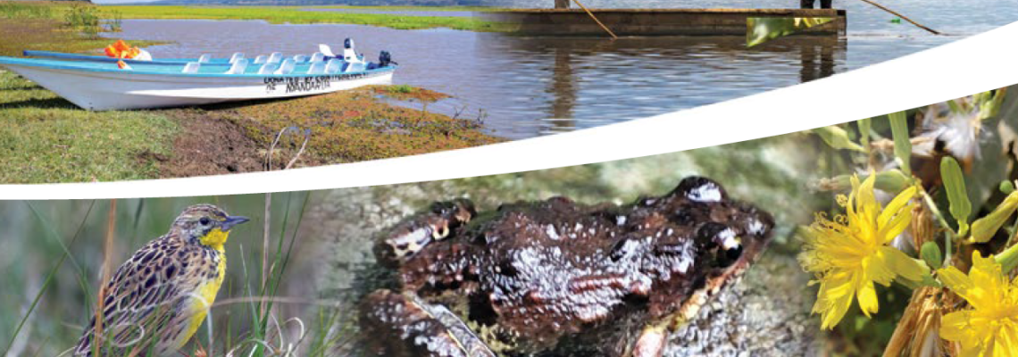 Lake Ol Bolossat: A Wetland Worth Saving