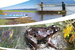 Lake Ol Bolossat: A Wetland Worth Saving