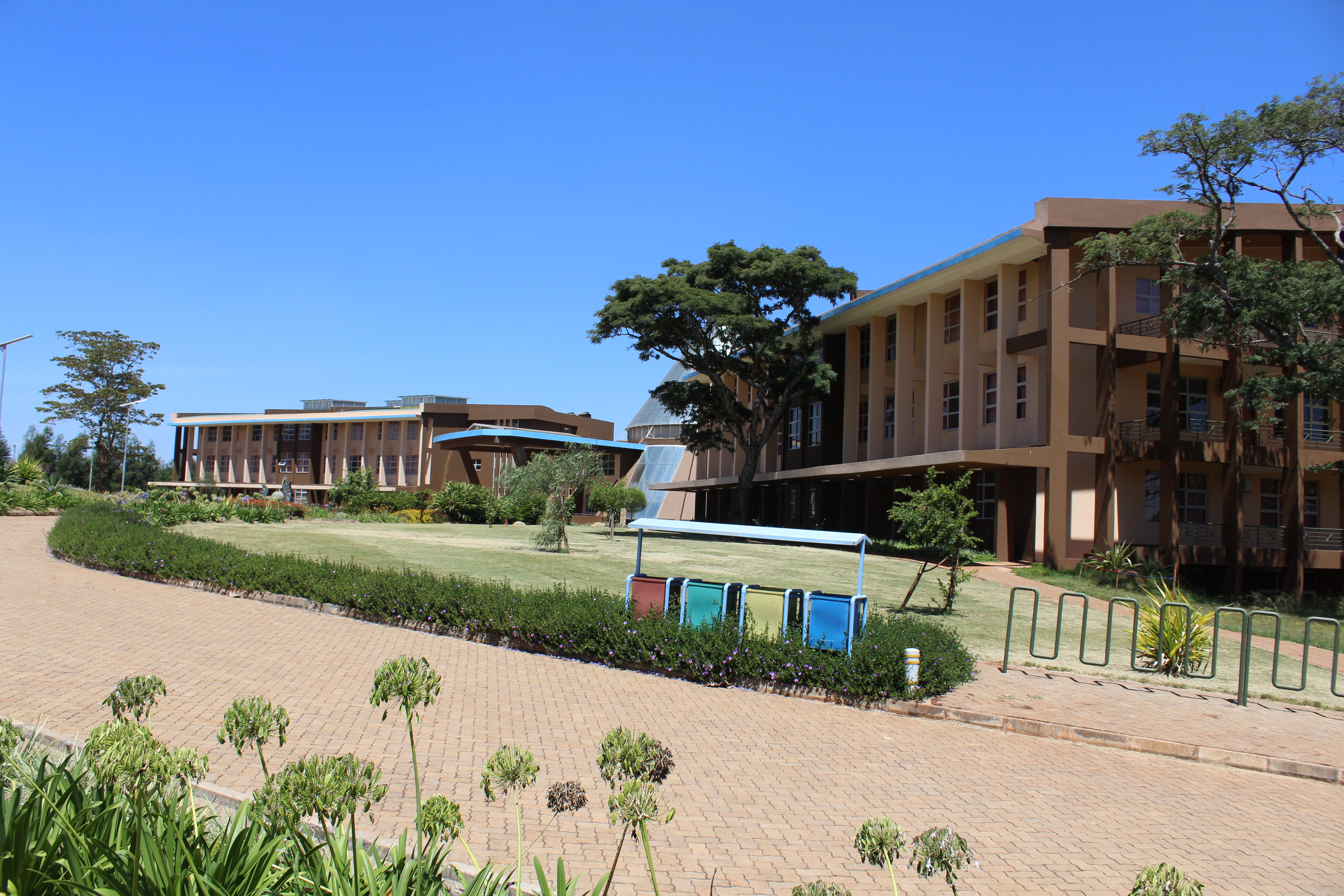 Wangari Maathai Institute
