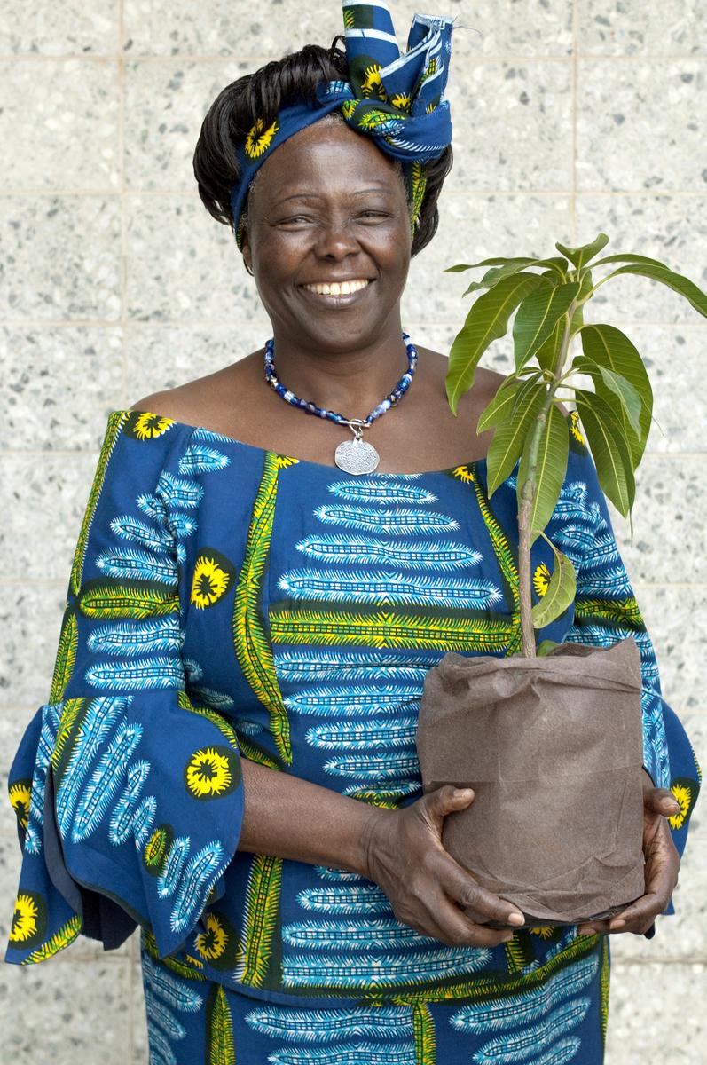 Prof Wangari Maathai