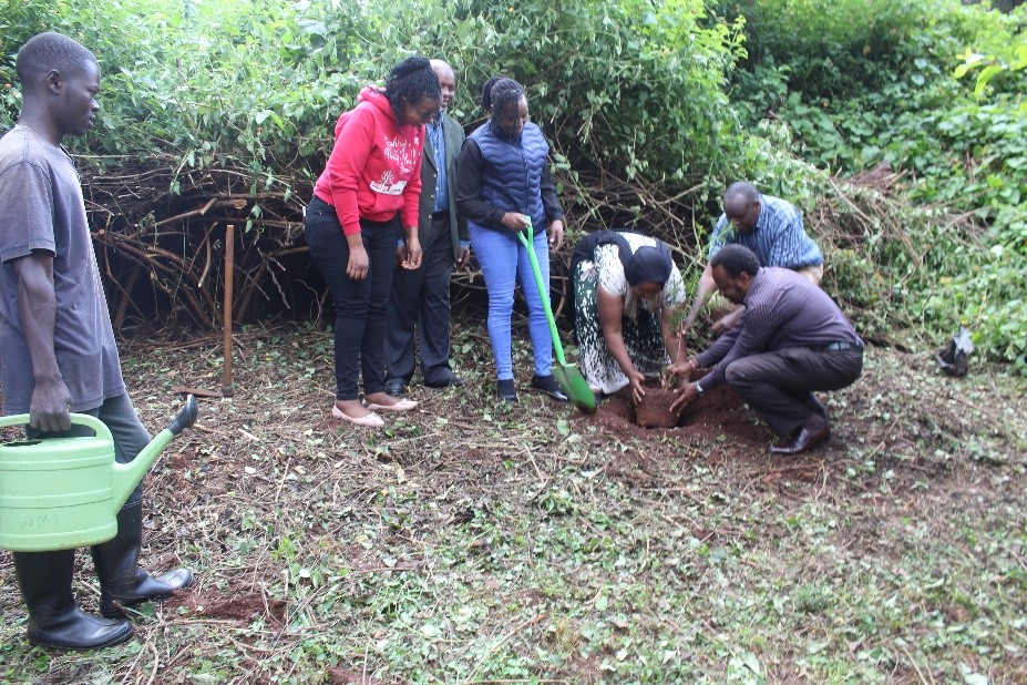 JUCAN Kenyan, UON team above and Denmark team below  plant a tree to mark the start of JUCAN project at WMI’