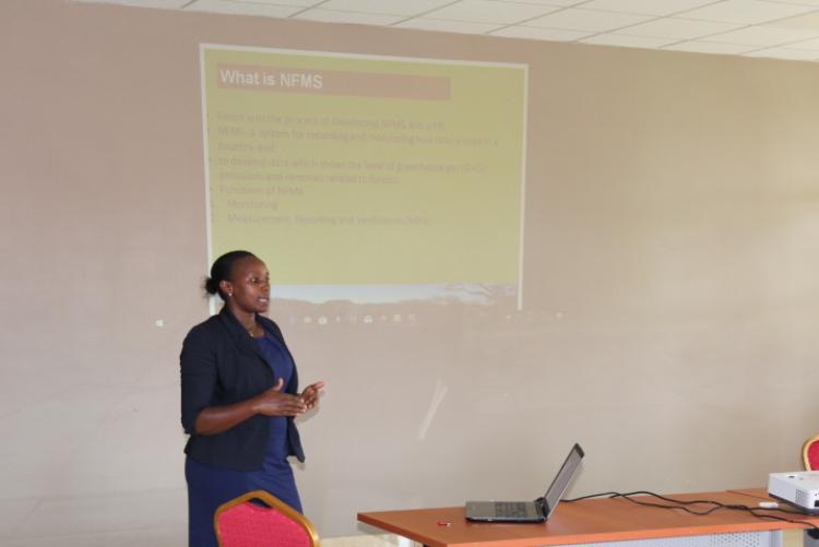 REDD+ Seminar held at the Wangari Maathai Institute