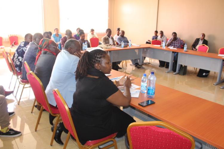 Curriculum Review Workshop held at the Wangari Maathai Institute in November 2019