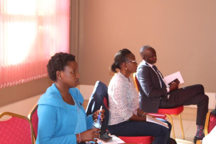 Curriculum Review Workshop held at the Wangari Maathai Institute in November 2019