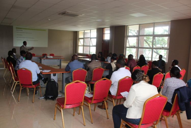 Curriculum Review Workshop at Wangari Maathai Institute
