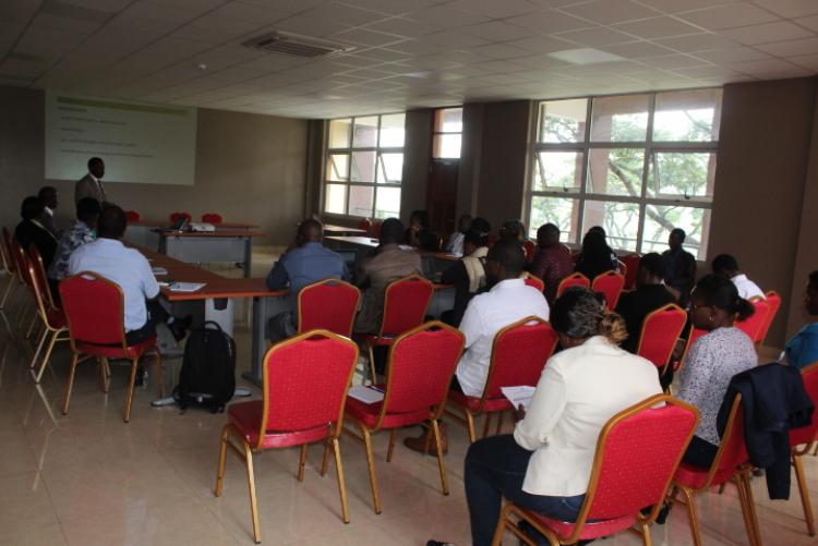 Curriculum Review Workshop at Wangari Maathai Institute