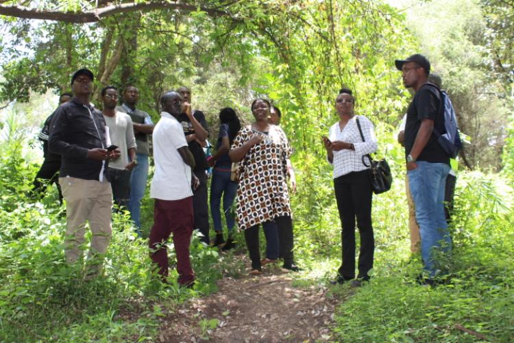 Wangari Maathai Institute for Peace and Environmental Studies experiential learning 