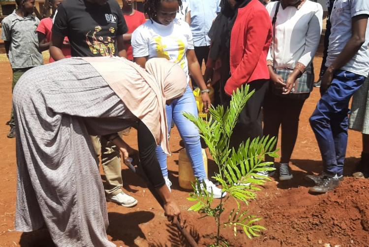 planting trees- wangari maathai day