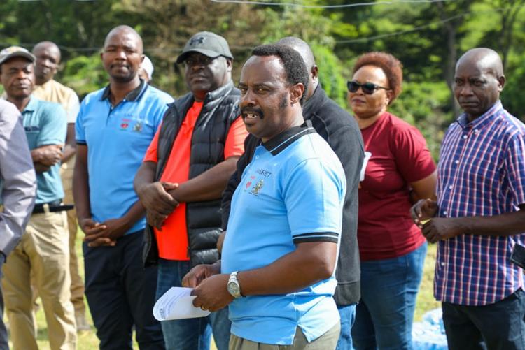 tree planting event at DCI headquarters