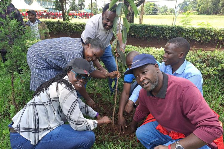 wangari maathai day at gatugi girls high school