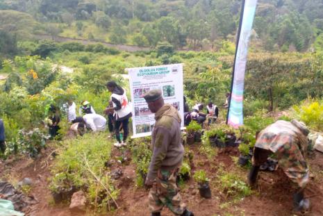 Tree planting at Ololua Forest along Mbagathi River during the World environment day, June 05, 2024. WMI joined Ololua CFA, Mbagathi River WRUA, KFS, IEBC, Red Cross, Cooperative University and Hearts of Green