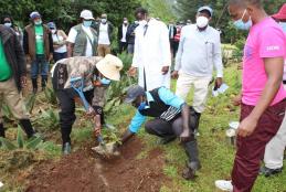 Prof. Rose Nyikal (Principal, College of Agriculture and Veterinary Sciences) assisted by Mr. Timona Onyango plants a fruit tree seedling (grafted avocado) at the Wangari Maathai Institute on 20th November, 2020. Behind her is Prof. David Mungai (Director, WMI), Prof. Moses Nyangito (Ag. Dean, Faculty of Agriculture) and other stakeholders.