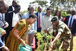 H.E First Lady Rachel Ruto plants a tree at the WMI