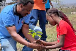 tree planting at inkiito